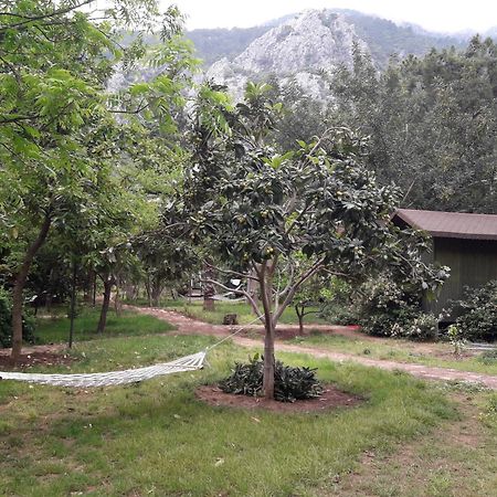 Kibala Hotel Çıralı Luaran gambar
