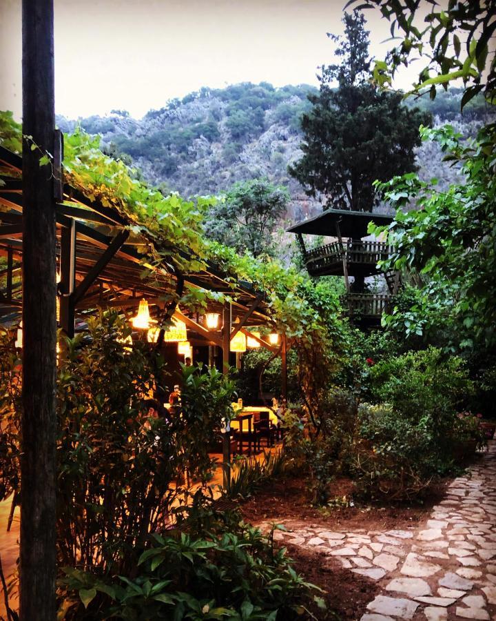 Kibala Hotel Çıralı Luaran gambar