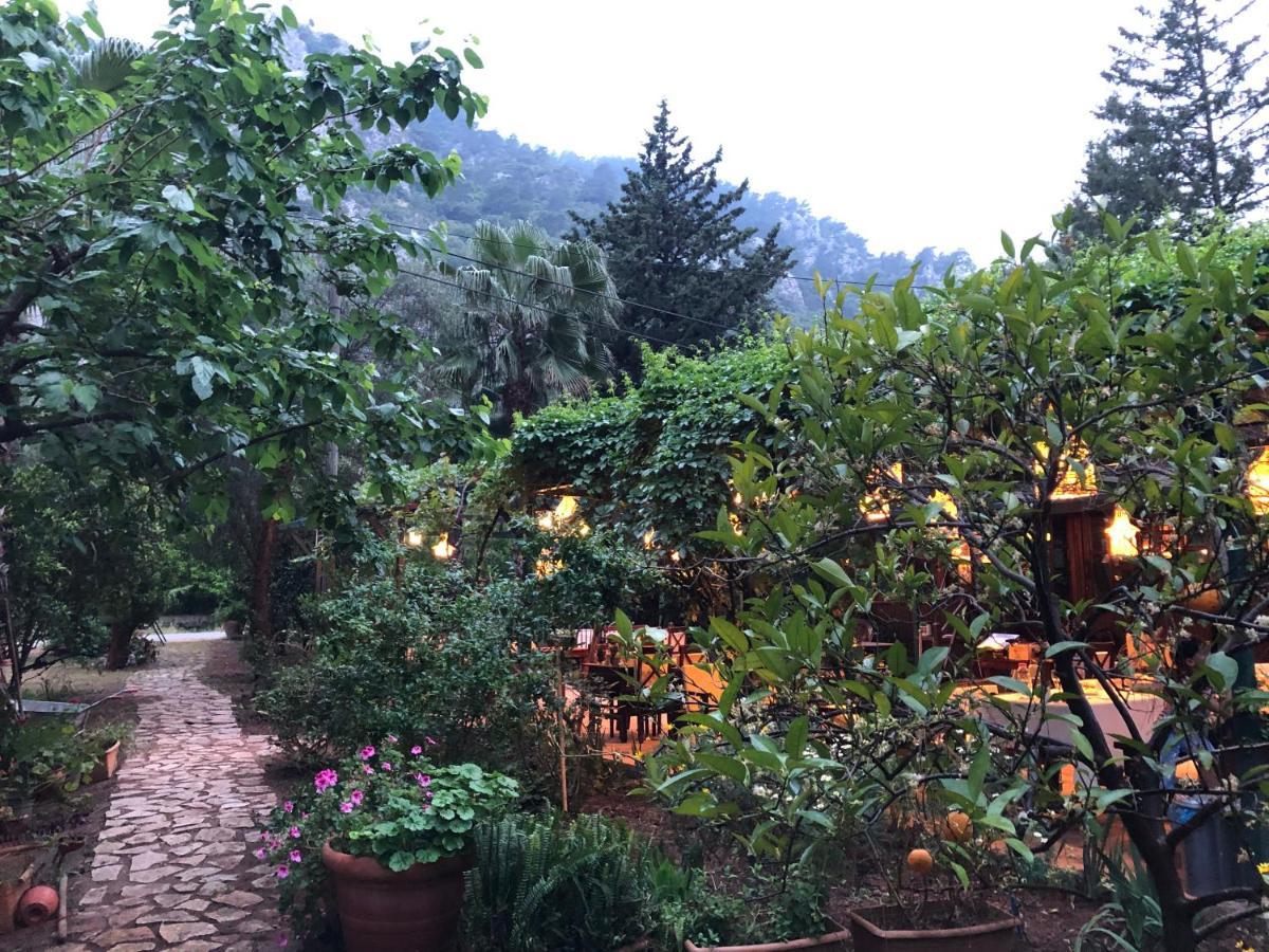 Kibala Hotel Çıralı Luaran gambar