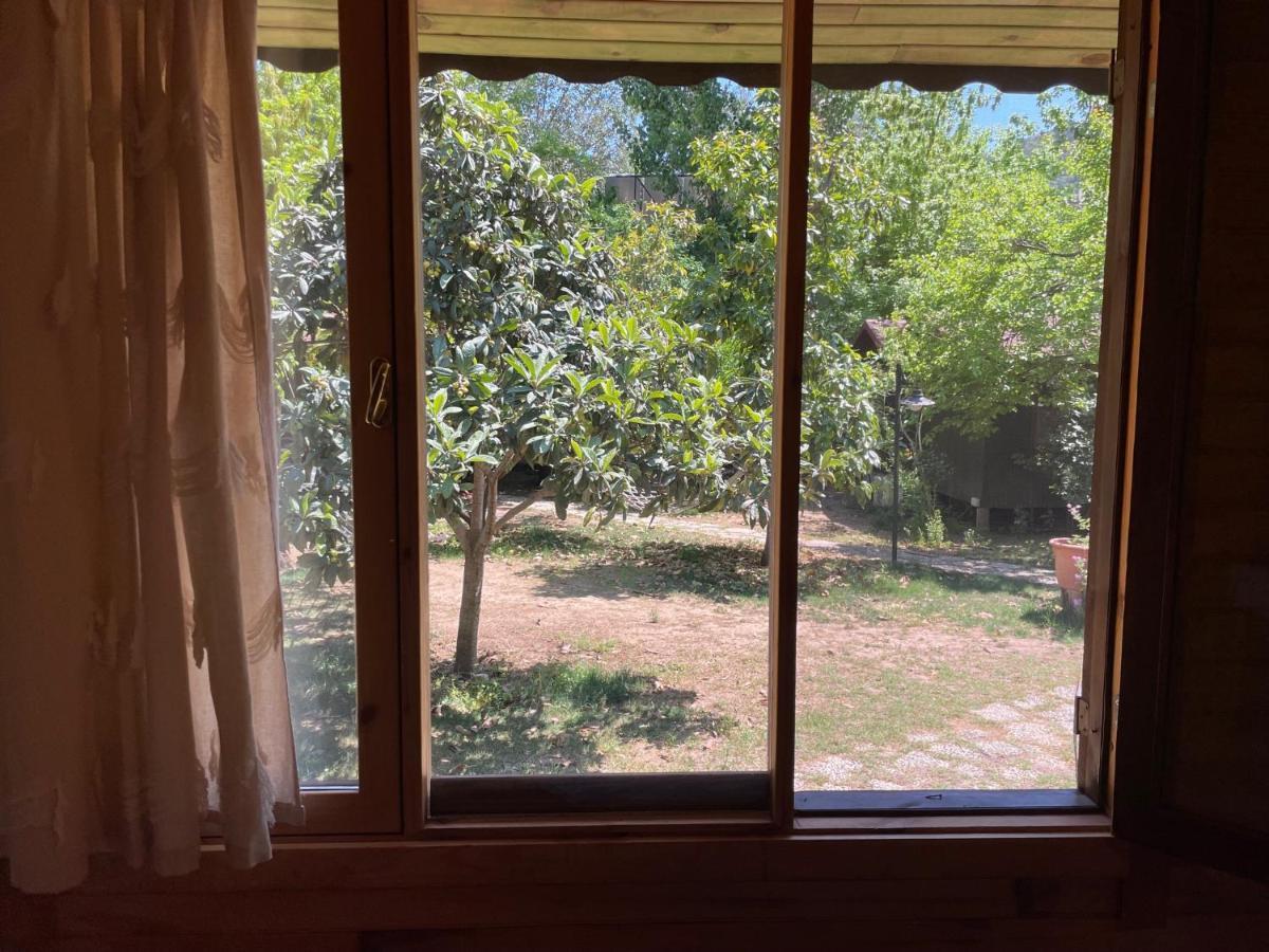 Kibala Hotel Çıralı Luaran gambar