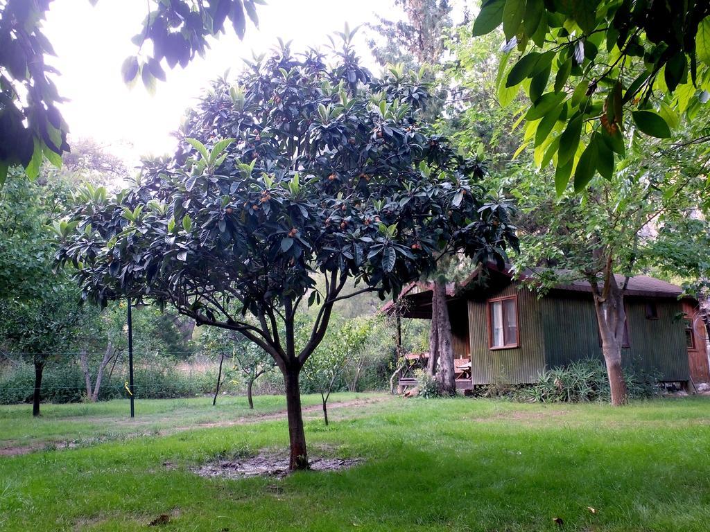Kibala Hotel Çıralı Luaran gambar