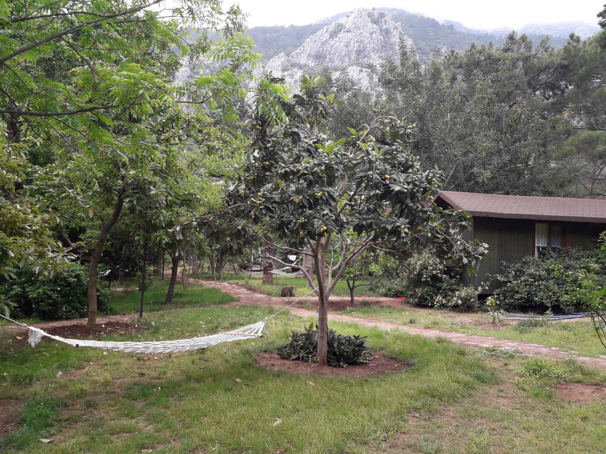 Kibala Hotel Çıralı Luaran gambar