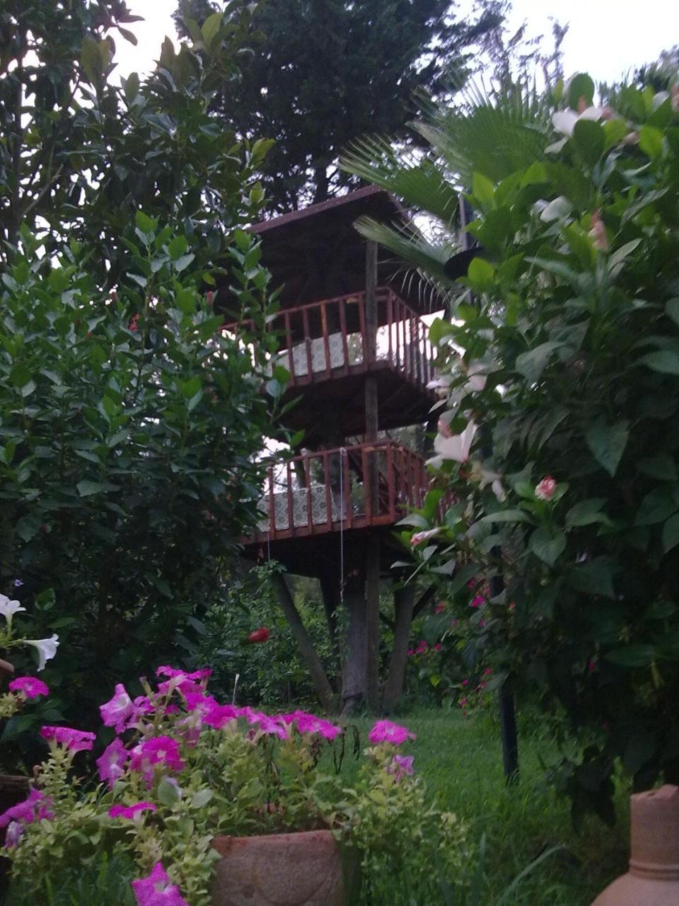 Kibala Hotel Çıralı Luaran gambar