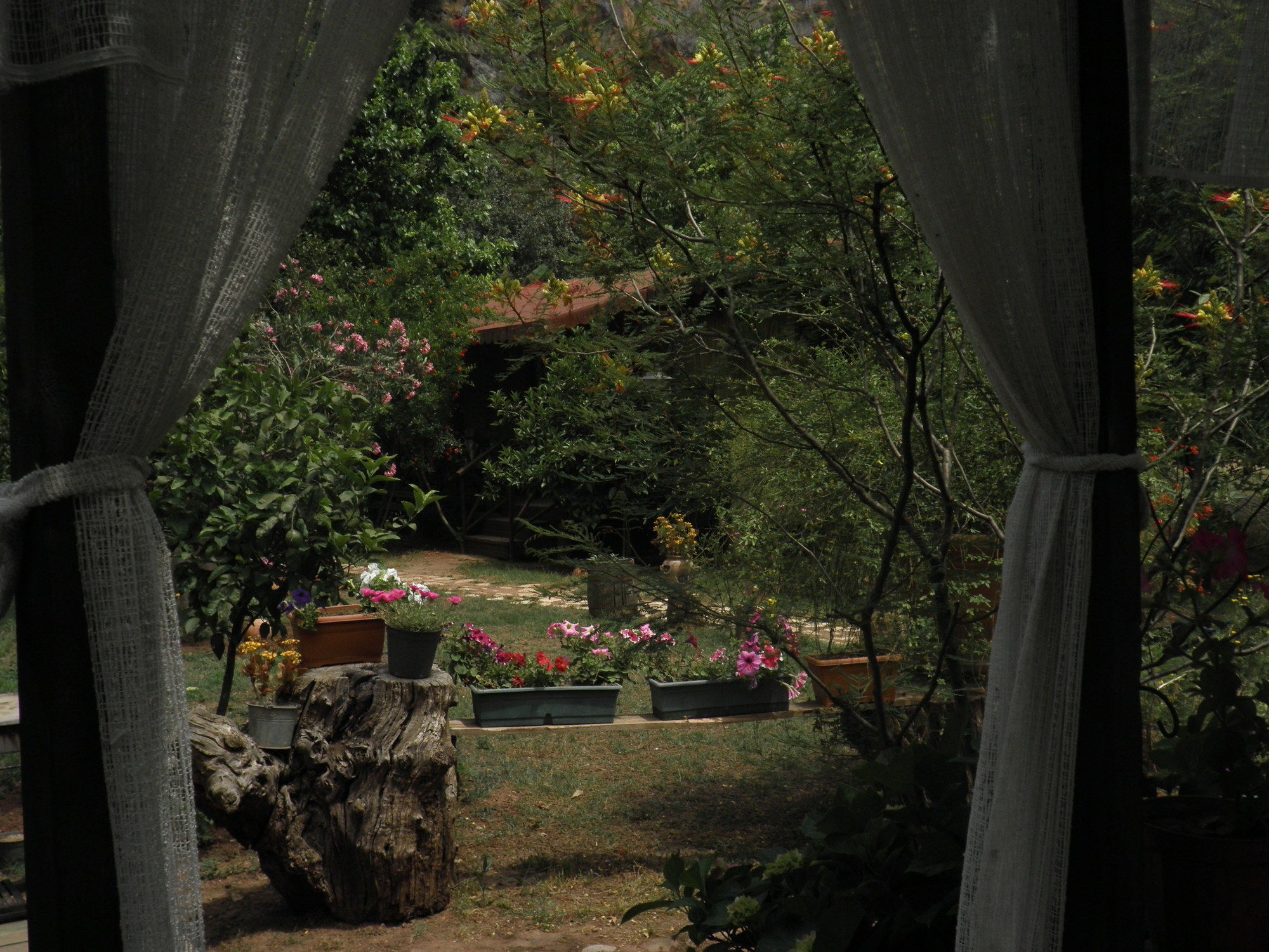 Kibala Hotel Çıralı Luaran gambar